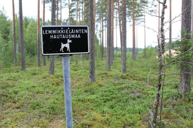 Lemmikkieläinten hautausmaan reunassa on kyltti, mutta yleiseltä tieltä sellainen puuttuu. KUVAT: ANU NAHKALA