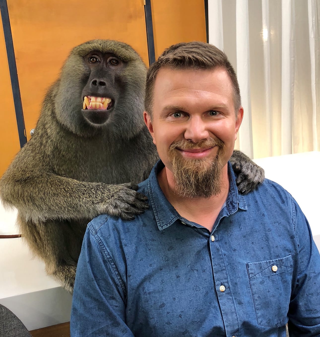 Raahelaislähtöinen Aki Juusola ja hänen taustallaan poseeraava apina ovat televisiossa pyörivän Veikkauksen mainoksen pääosissa.