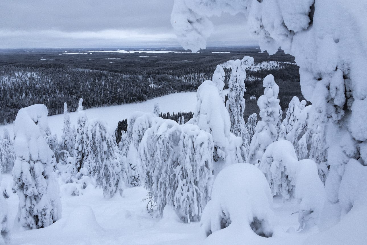 Koillismaalla lunta on riittänyt, vaikka valtakunnallisesti vuosi on ollut lämpimämpi.