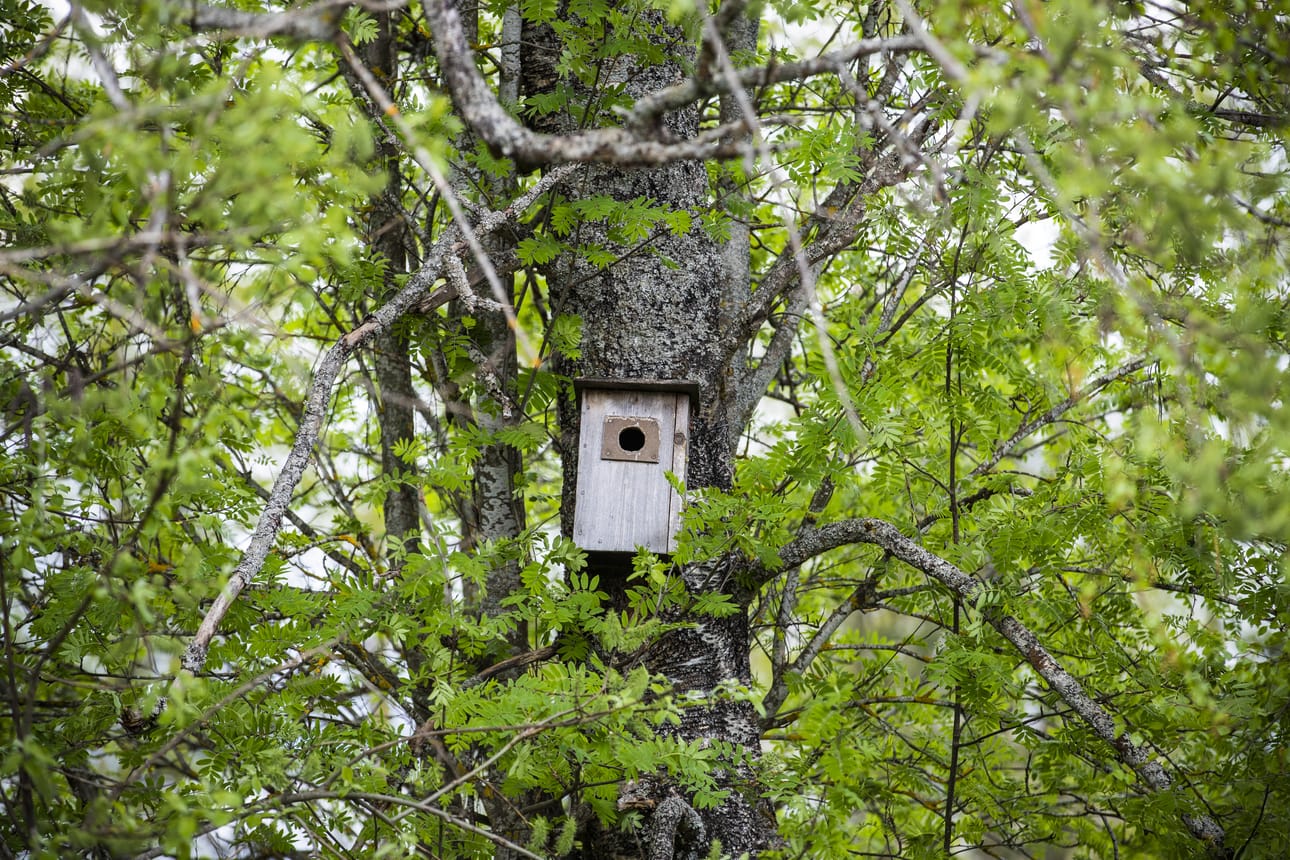 Kuusamossa tarvitaan pönttöjä, jos mieli saada alueelle pikaratikkoja.