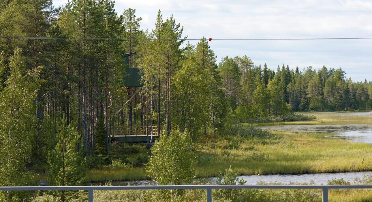 Nilojokisuulle Rovaniementien varteen pystytetyn tornin molemmilla sivustoilla oleva puusto estää esimerkiksi ruohikkoisessa lahdessa ruokailevien kahlaajien tarkkailun ja kuvaamisen.