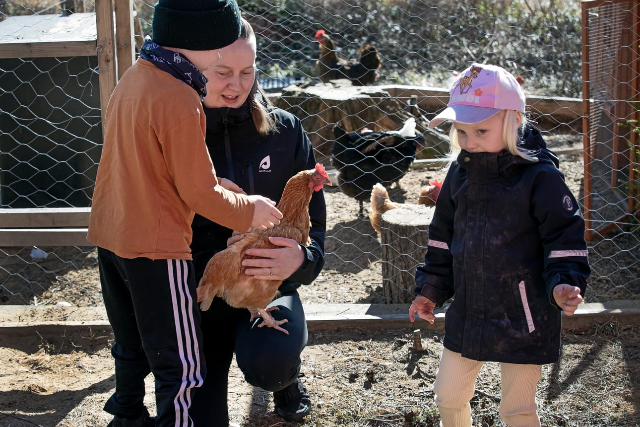 Maaseudulla omassa rauhassa voi kasvattaa vaikka kanoja. Maria Koivukangas pitelee yhtä kanaa sylissään. Myös Eemel ja Elli hoitavat kanoja.