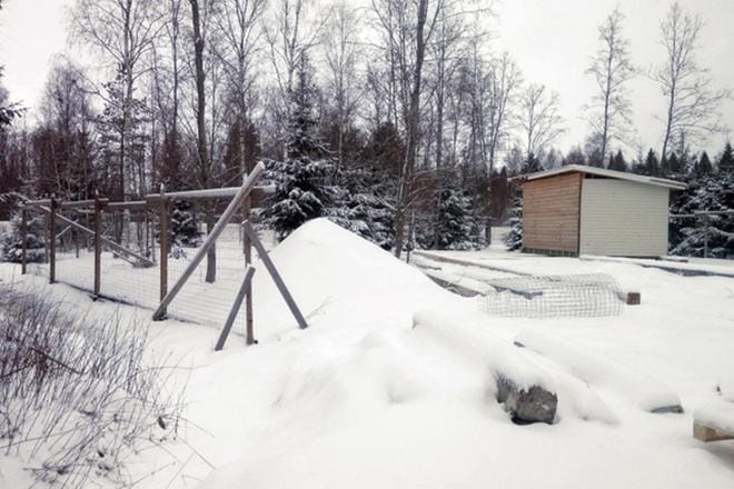Koiratarha Kulkurille valmistuvat uudet avarat tilat Maalahteen. Kuva: Niina Männistö