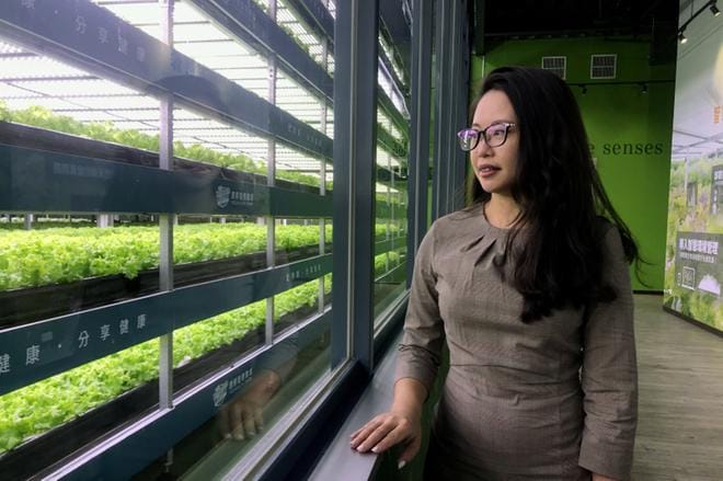 YesHealthin toimitusjohtajan assistentti Stella Tsai esitteli näytefarmia kansainvälisen toimittajaryhmän vierailulla. Kuva: Daniel Wallenius