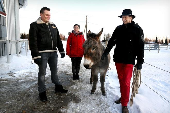 Perhekoti Toiskassa työkaverit voivat olla itsepäisiä. Kalle Reinikka, Tiina Tuominen ja Keijo Viertoma kertovat yhteistyöstä Kaija-aasin kanssa. Se käyttäytyy aasimaisesti, mutta ei ole aivan niin aasimainen kuin aasien oletetaan olevan. KUVAT: JOUKO HÄNNINEN