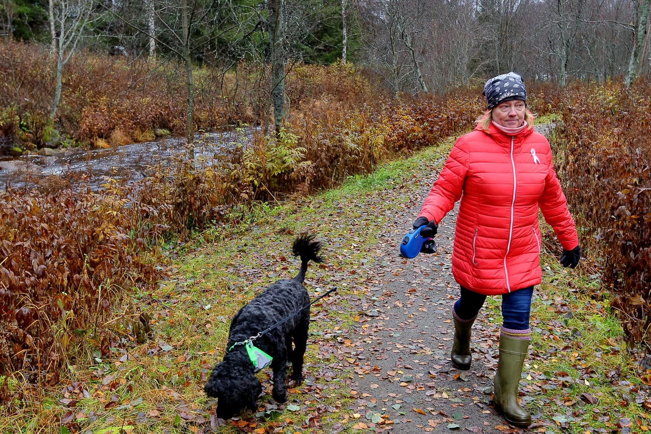Anne Kallio-Oinas ulkoilee paljon Alma-koiransa kanssa. Koira on hyvä liikkumaan kannustaja ja lenkkiä kertyy kuin huomaamatta.