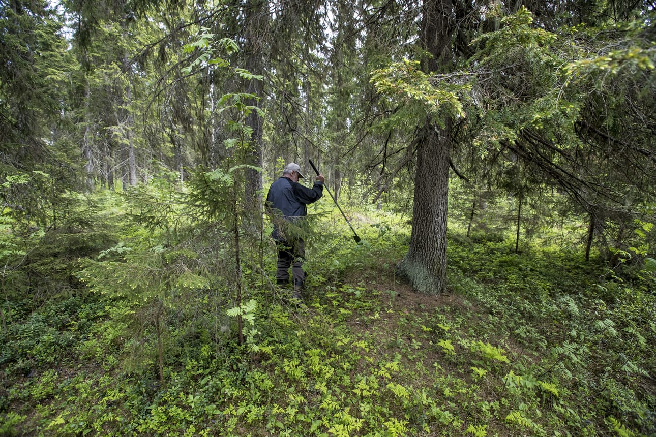 Arkeologit Hans-Peter Schulz ja Jaana Itäpalo ovat kartoittamassa Pikkulahden ranta-alueiden muinaismuistopaikkoja. Kartoitus liittyy alueella tehtävään asemakaavatyöhön.