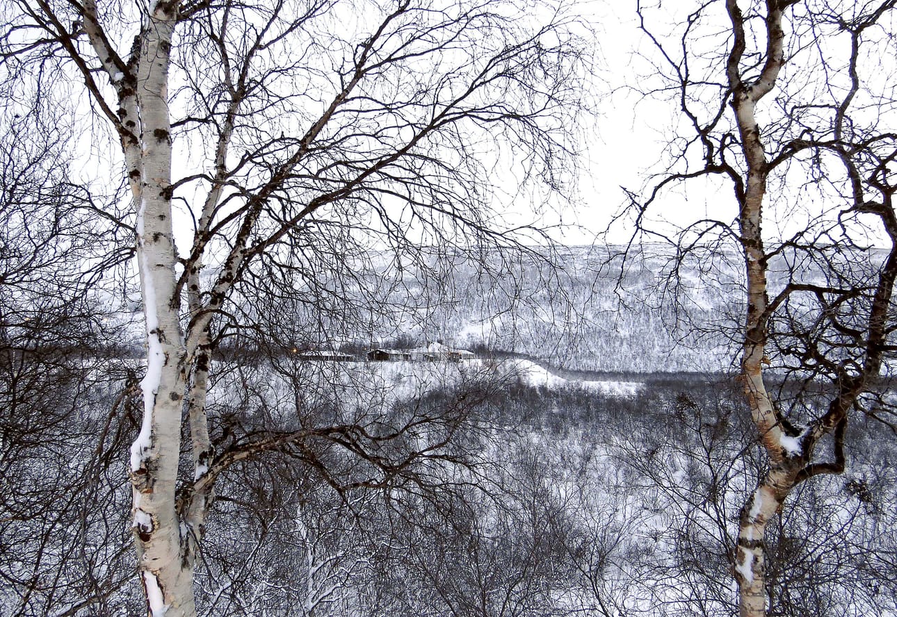 Lapin ely-keskuksen päätös vesiskoottereilla ajamisesta Tenojoen vesistössä on luvattu huhtikuun aikana.