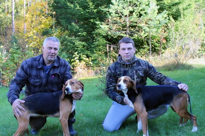 Nelivuotias ajokoira Bettan (vas.) on tuore piirinmestari, kuvassa sitä pitelee omistaja Kai Kangasmäki Kauhavalta. Vieressä on hiljan käyttövalioksi tullut Ledi samasta pentueesta, sen takana on kuvauksissa apuna toiminut Rami Nevanranta. KUVA: MIA KÄRKKÄINEN
