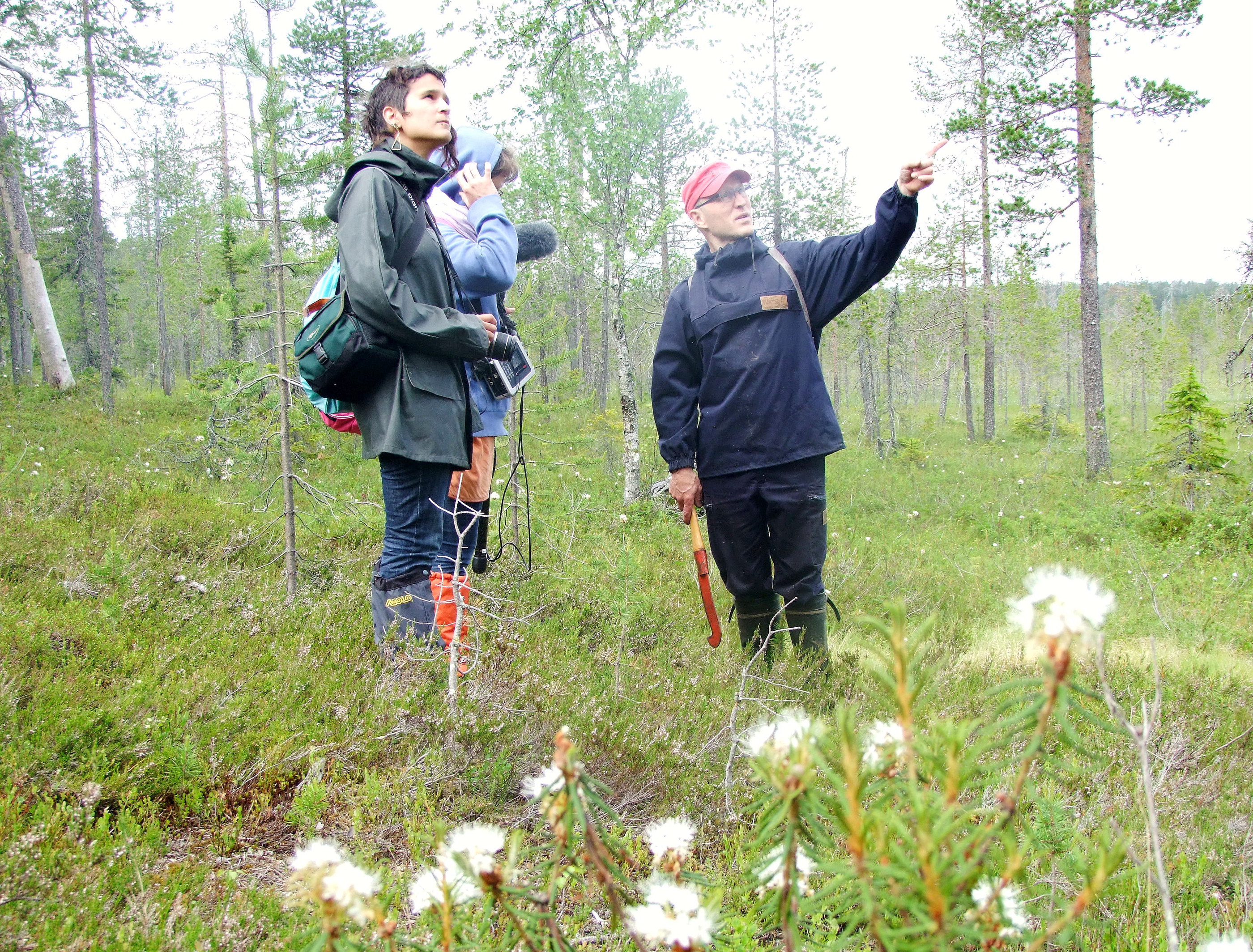 &ndash;&thinsp;Samanlaisissa maisemissa on Vatanenkin varmasti liikkunut ja työskennellyt, kertoo metsäpalveluasiamies Oiva Soudunsaari.
