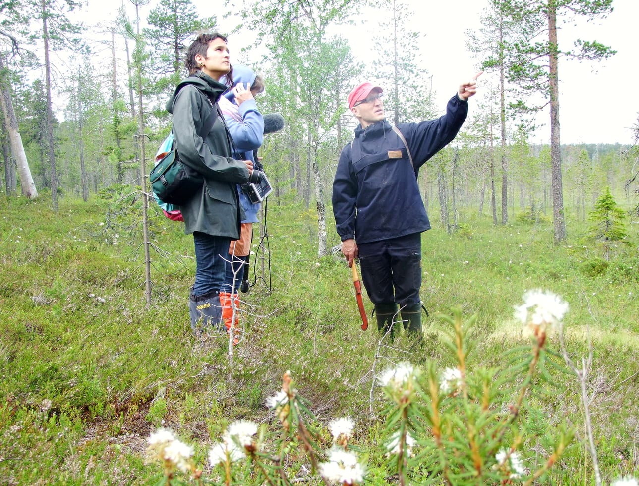 – Samanlaisissa maisemissa on Vatanenkin varmasti liikkunut ja työskennellyt, kertoo metsäpalveluasiamies Oiva Soudunsaari.