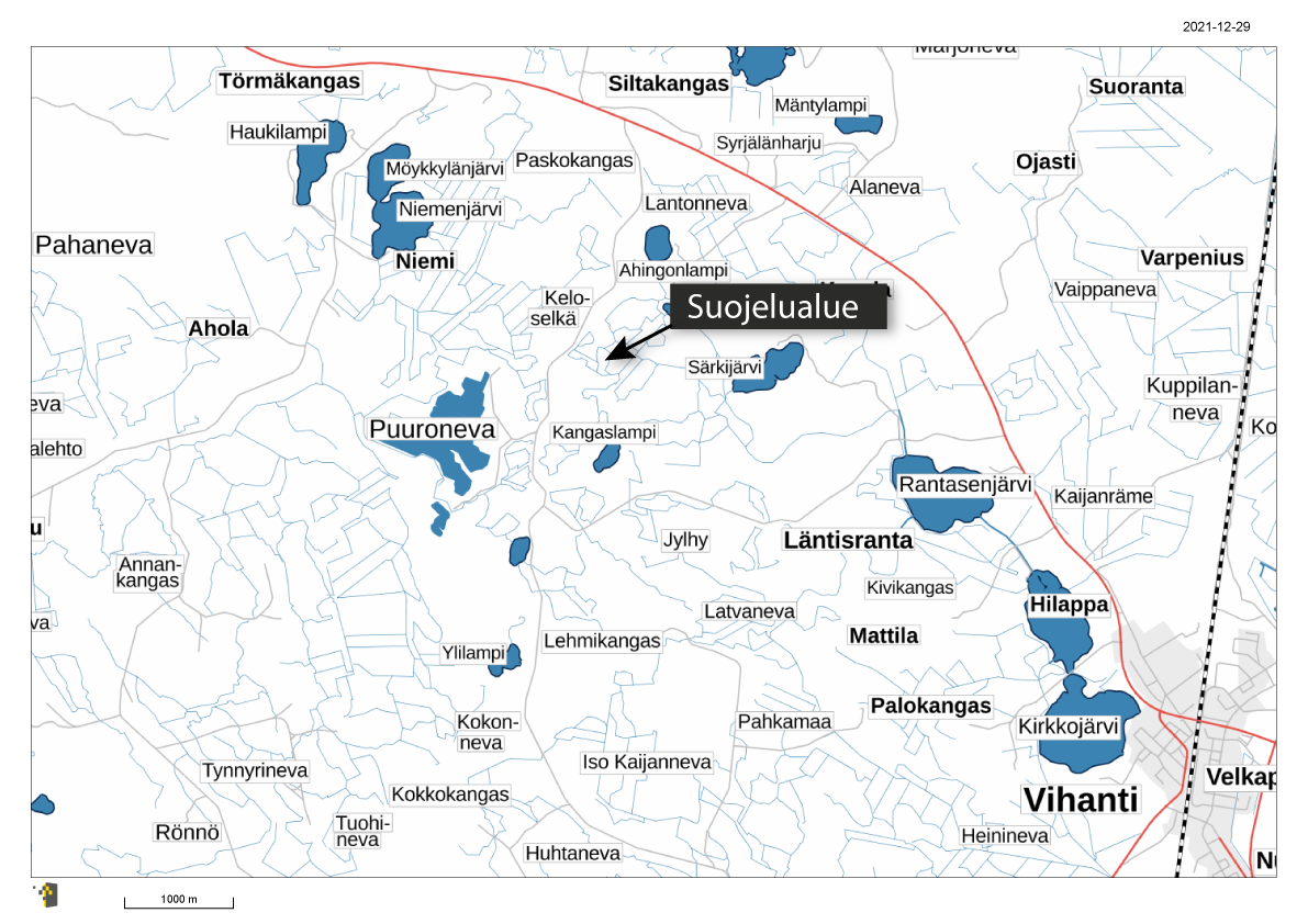 Kanahaukkametsä saatiin suojeltua – Vihantiin uusi suojelualue