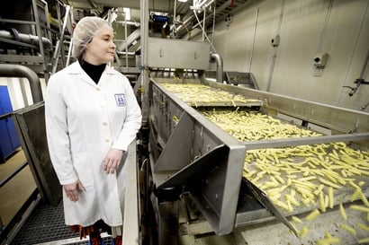 Ranskanperuna siivittää Vihannin tehtaan tuotantoa –"Tehdas käy yötä päivää"