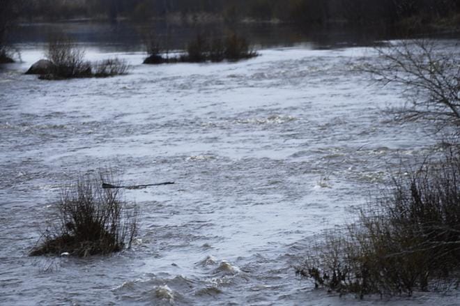 Esitutkinta ympäristön turmelemisasiassa on saatu valmiiksi. Kuvituskuva: Osmo Kahari