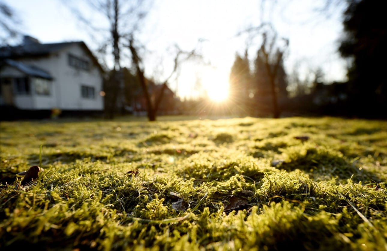 Oman asuntonsa omistavilla on tutkimuksen mukaan huomattavasti matalampi alttius muuttaa kuin vuokralla asuvilla. Erityisen vähän muuttoalttiutta on omakotitalojen omistajilla. LEHTIKUVA / Antti Aimo-Koivisto