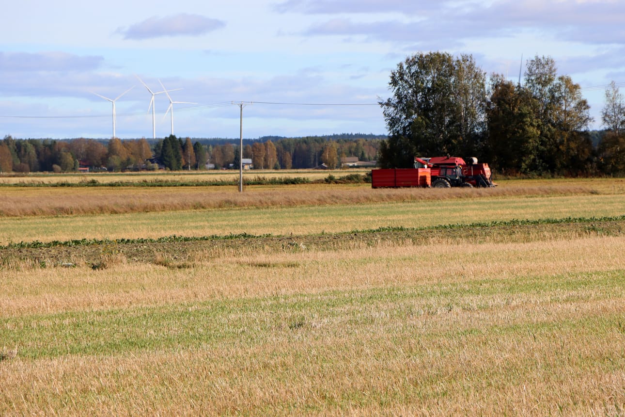 Moni viljelijä joutuu tekemään säästötoimenpiteitä seuraavan kasvukauden suhteen, johtuen korkeista lannoitteiden hinnoista. EU yrittää välttää tätä uusilla tukikeinoilla. Kuvituskuva.