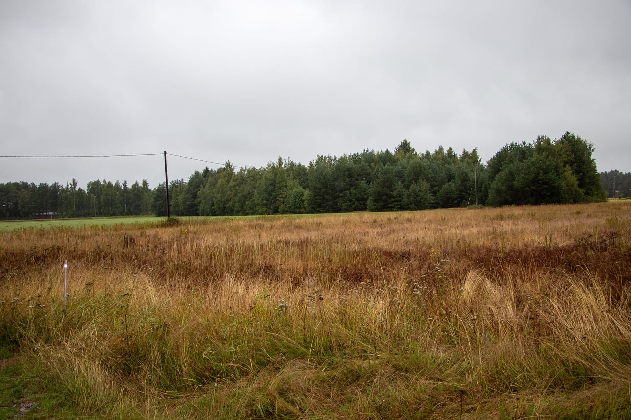 Hailuodossa maisemallisesti arvokkaita MA-alueita on suhteellisen paljon. Se johtuu saaren valtakunnallisesti arvokkaasta kulttuurimaisemasta ja kansallismaisema-asemasta.
