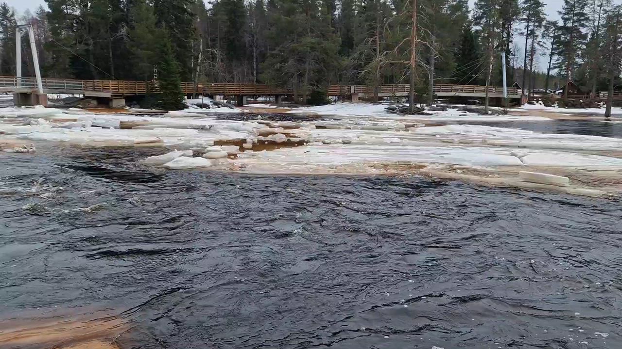 Kiiminki Koitelinkoski 22.3. 2026. Tulva huippu vielä edessä päin