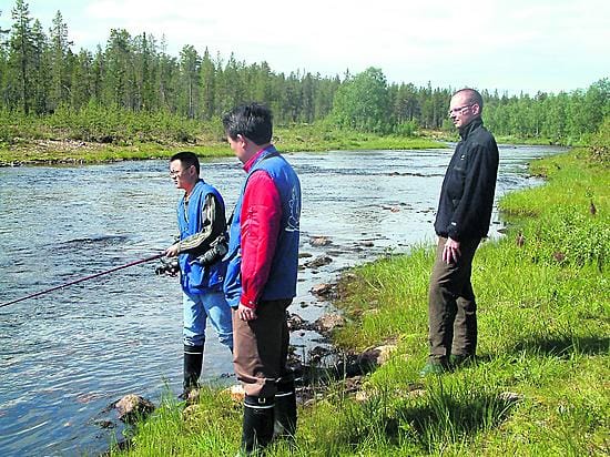 Metsähallituksen eräasioista vastaava aluepäällikkö Mika Laakkonen lupaa Kairijoesta entistä varmemman kalastuskohteen, kun pyyntikokoisen taimenen istutuksia lisätään. Ehkäpä seuraavalla kerralla myös kiinalaiset Lai Xiaoxiao ja Meng Xiangfu saavat saalista.
