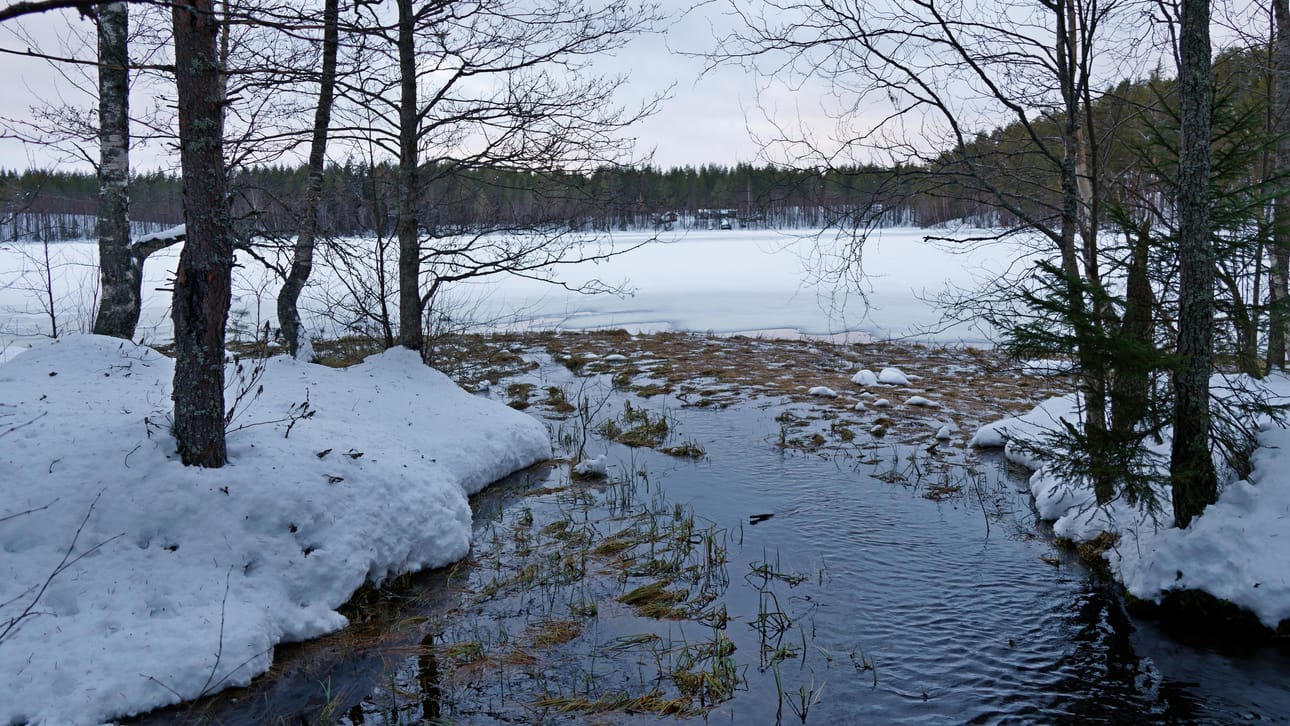 Lauha sää on vaivannut luistelijoita ja hiihtäjiä.
