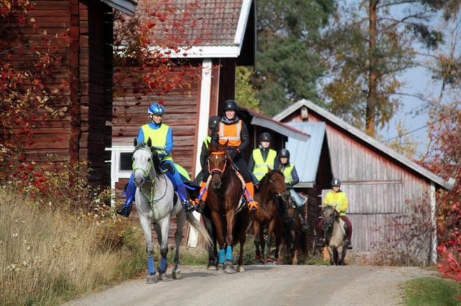Matkaratsastajien valmennuspäivään osallistui kaikkiaan yhdeksän ratsukkoa huoltajineen. KUVAT: SEIJA PAANANEN