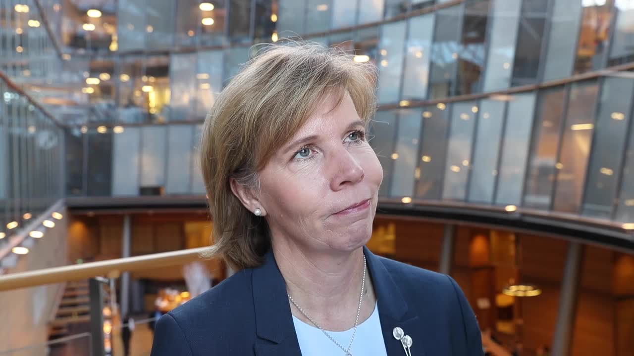 Anna-Maja Henriksson Lännen Median kuntavaalihaastattelussa