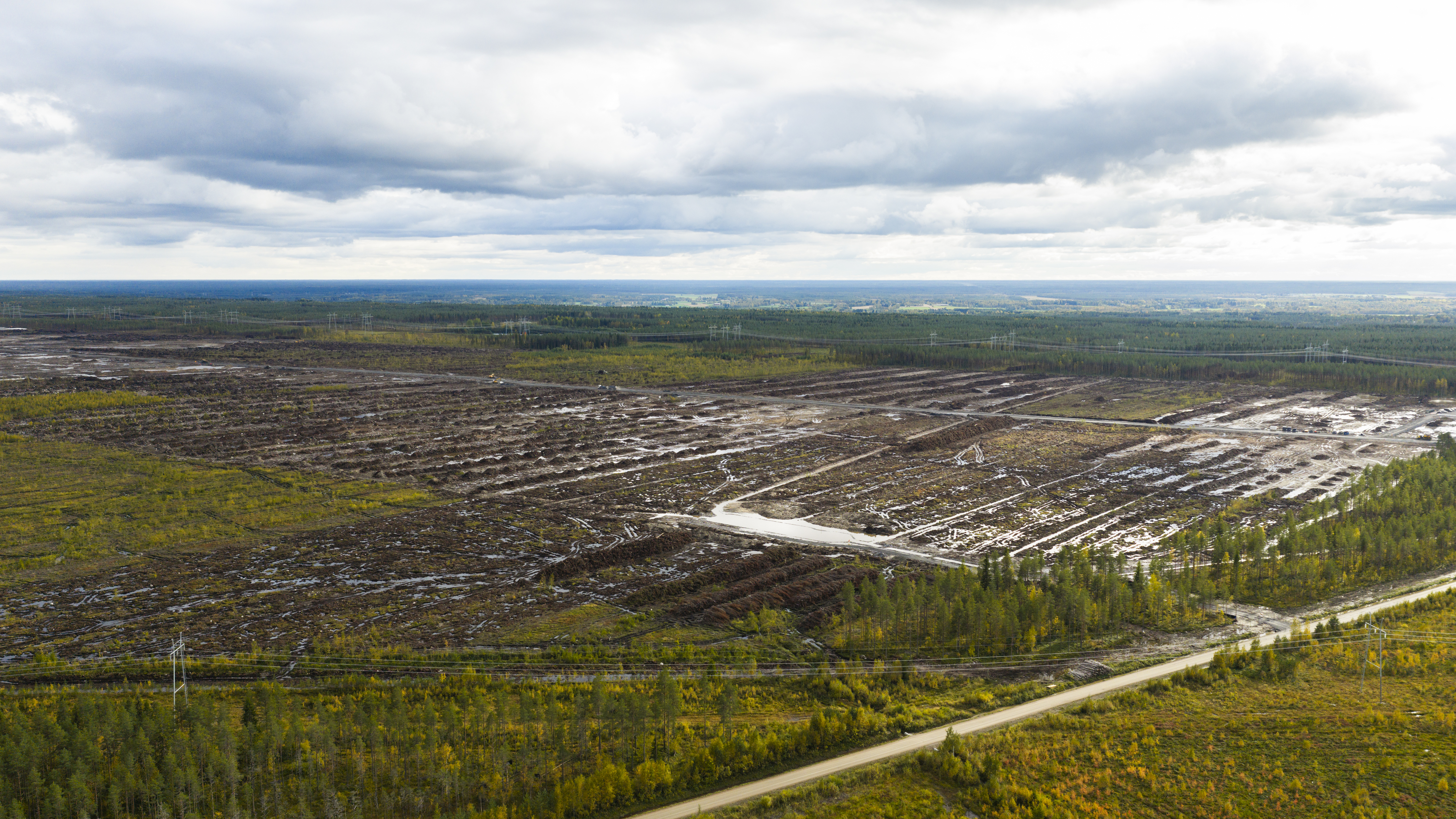HS: Metsä Group ja UPM ostivat puuta Googlen laittomiksi epäillyiltä hakkuilta