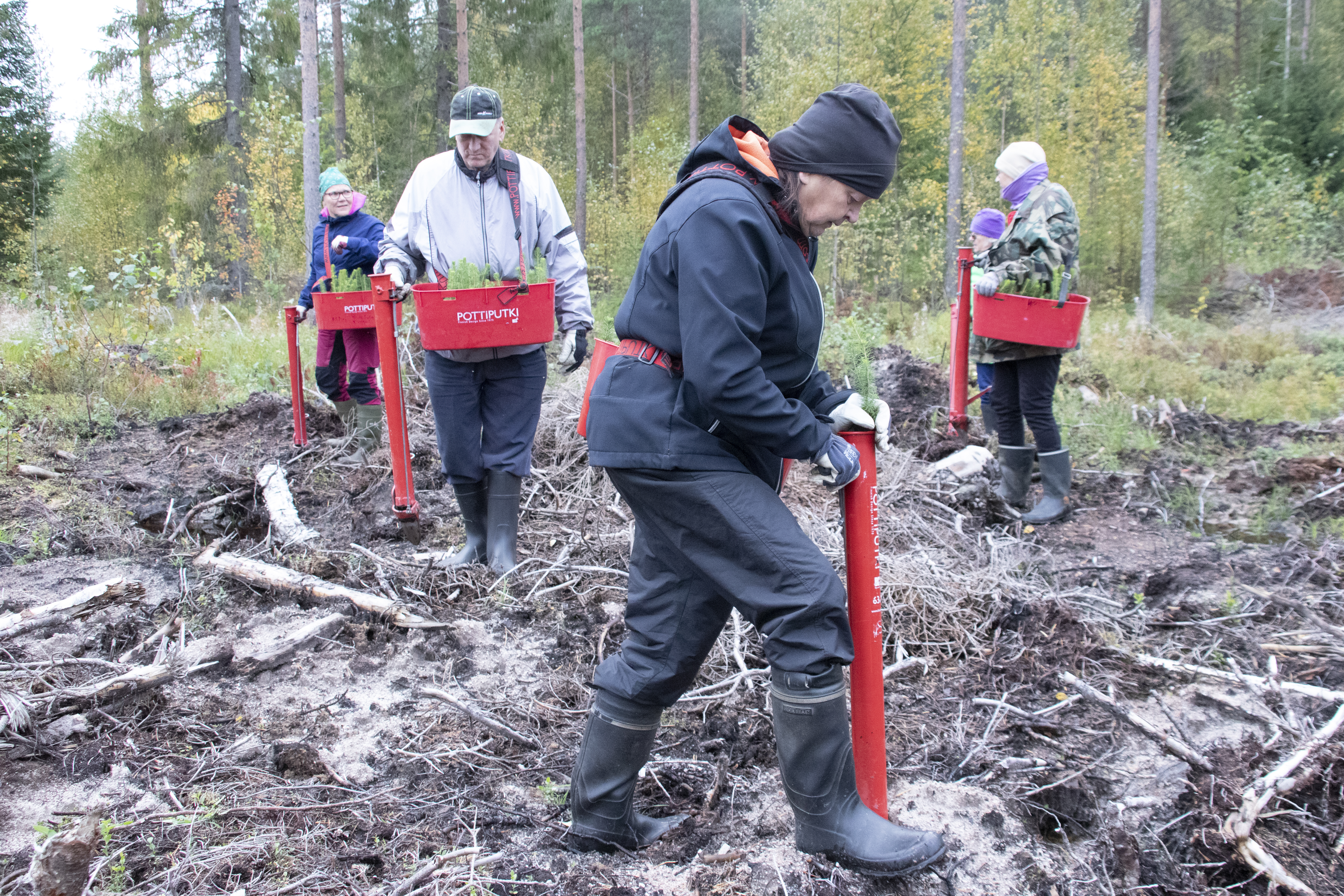 Pyhännän kunnan metsäsaralla tehtiin ilmastoteko – kunnan metsäomaisuutta hoidetaan asiantuntijoiden näkemystä kuunnellen