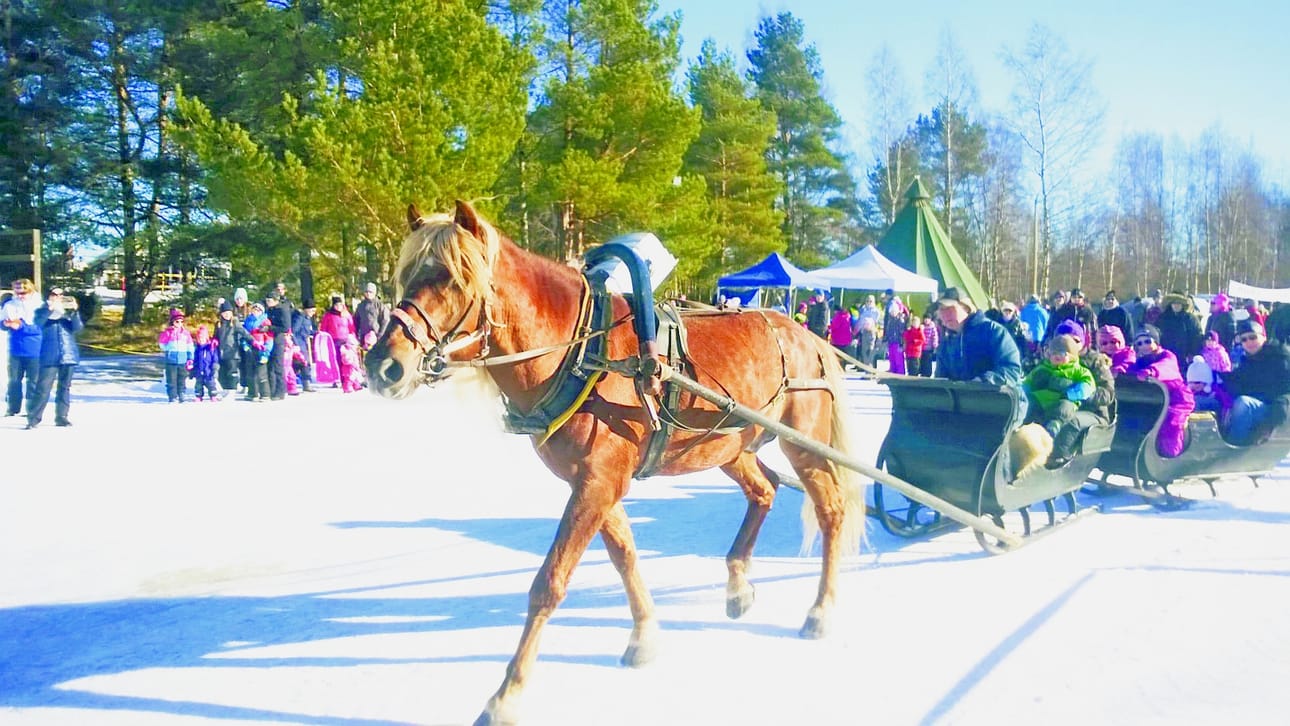 Vihiluodossa riitti väkeä. Hevosrekiajelua tarjosi Ori Hyväveli ja Kalevi Hämäläinen.