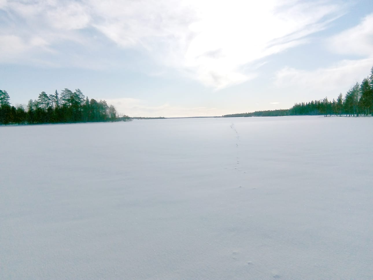– Kairasin viime viikolla reiän Jongujärven Syväsalmessa ja säikähdin, kun jäätä oli 11 cm. Kuvan vasemmalla puolella on Hevossaari ja siinä rannassa oli se 11 cm, salmen toisella puolella 50 cm. Syväsalmi on paikka, missä kulkee pilkkiporukkaa keväisin paljon, varoittelee heikoista jäistä nimimerkki Kairaaja.