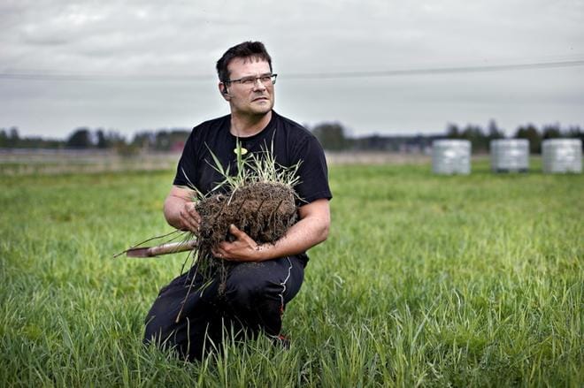 Rami Liljan pellossa kasvaa vuoroin perunaa, vuoroin hernettä ja ruista. Syksyllä kylvetty ruis saa jäädä peltoon ravitsemaan maaperää, kun perunan istutus alkaa. Säiliöissä on nestemäistä lannoiteseosta. KUVAT: TOMI KOSONEN