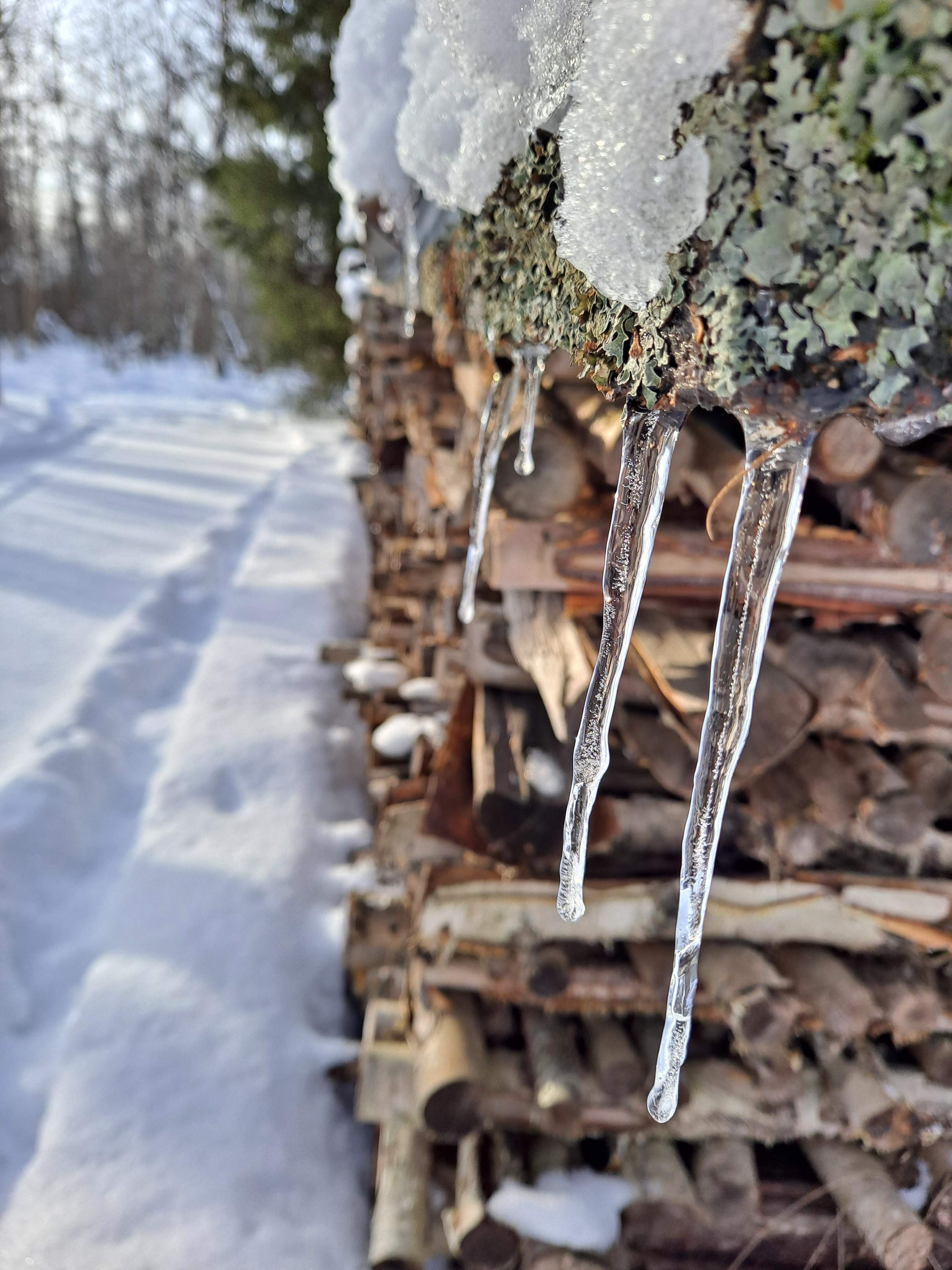 Maaliskuun 2026 lukijakuvat