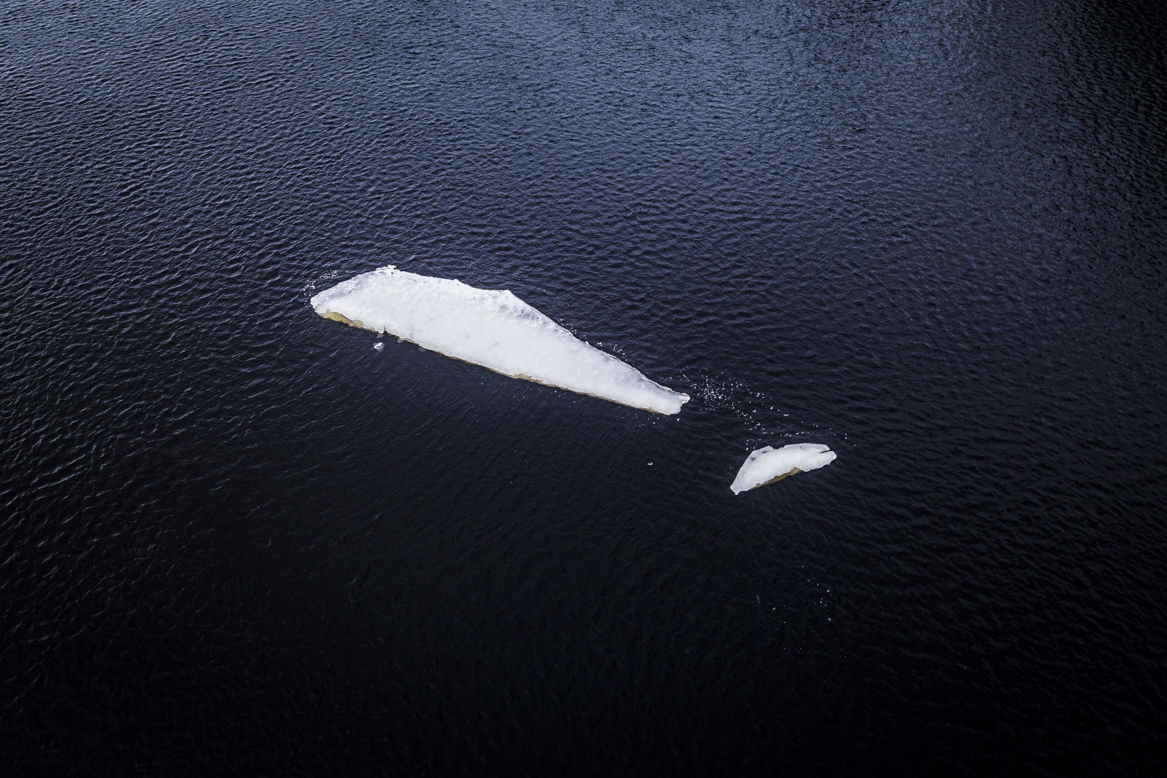 Viileä ilma on hidastanut kevättä koko Lapissa – jäidenlähtö alkaa Simojoella ja Tornionjoella tällä viikolla, Rovaniemen Lainaalla odotellaan ainakin ensi viikkoon