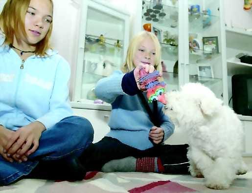 Ruinaaminen kannatti. Noora (vas.) ja Jenni Juutilainen yllättyivät iloisesti, kun äiti ja isä ilmoittivat loppukesällä, että perheeseen otetaan koira. Bichon frisé Kimi tuli taloon kuukausi sitten.