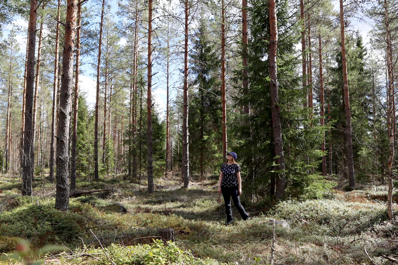 Paskarämäkäntönkkä on kohouma Paskarämäkän vieressä. Nimien lähde ei kummassakaan ole ainakaan aistinvaraisesti havaittavissa.