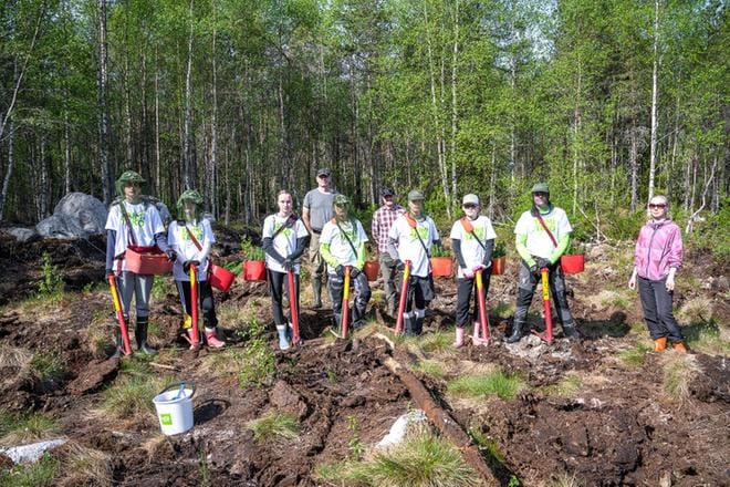 Soinilaiset nuoret istuttivat taimia Porrassuolla. Työtä ohjaamassa olivat MHY Soinin metsänhoidonneuvoja Antti Laakso (tak. vas.), metsätalousinsinööriksi opiskeleva Timo Hykkönen ja Soinin 4H:n toiminnanjohtaja Saija Källi (oik.). KUVAT: AARRE LÖYTÖMÄKI
