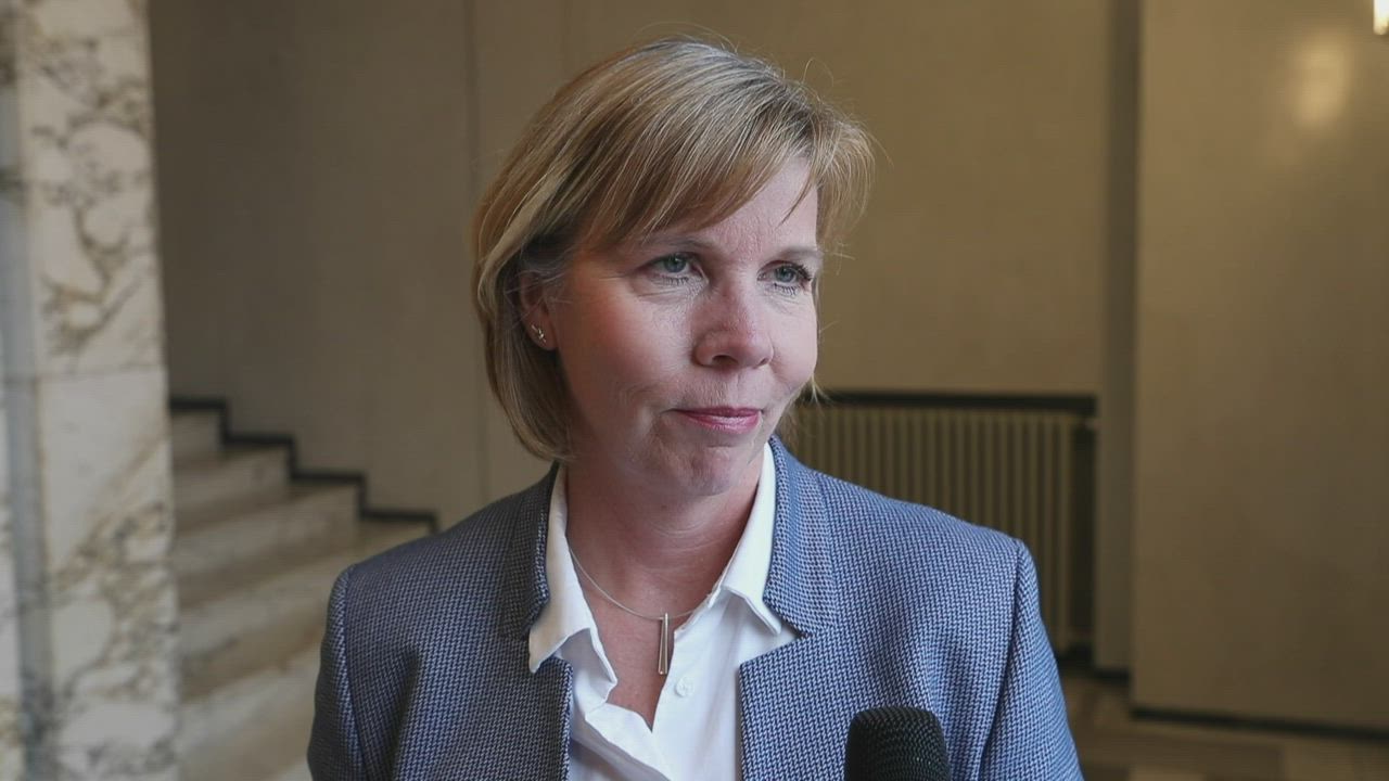 Kohti vaaleja: haastattelussa Anna-Maja Henriksson