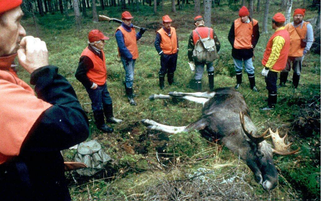 Kirja-arvostelu: Kaiken viljan pyytäjä opastaa nuorempiaan
