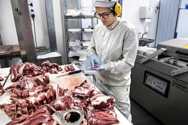 Jennifer Enlund leikkaa karitsanlihaa Tajman pienteurastamolla Pedersöressä Pohjanmaalla. KUVA: Slotte Clas-Olav