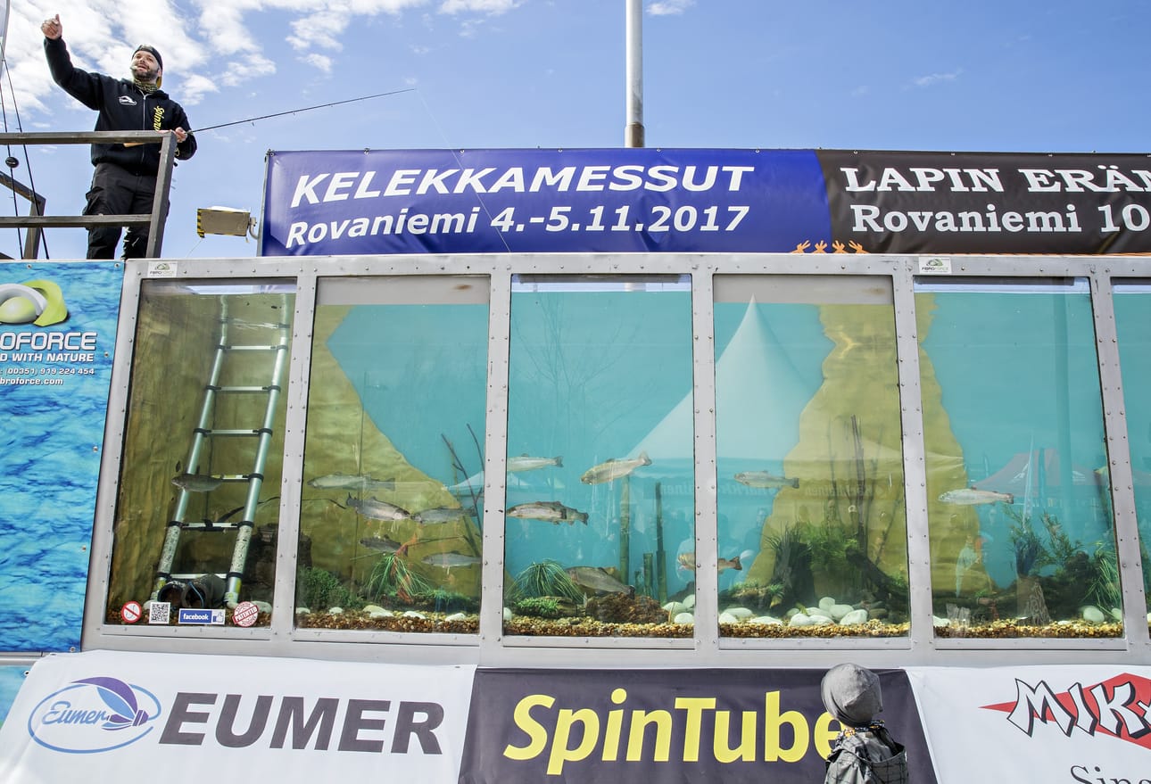 Kalastusalan lakukauppiaaksi itseään tituleeraava Olli Ojamo heitteli erämessuilla SpinTube-heittoperhoja 18 kuution akvaarioon.