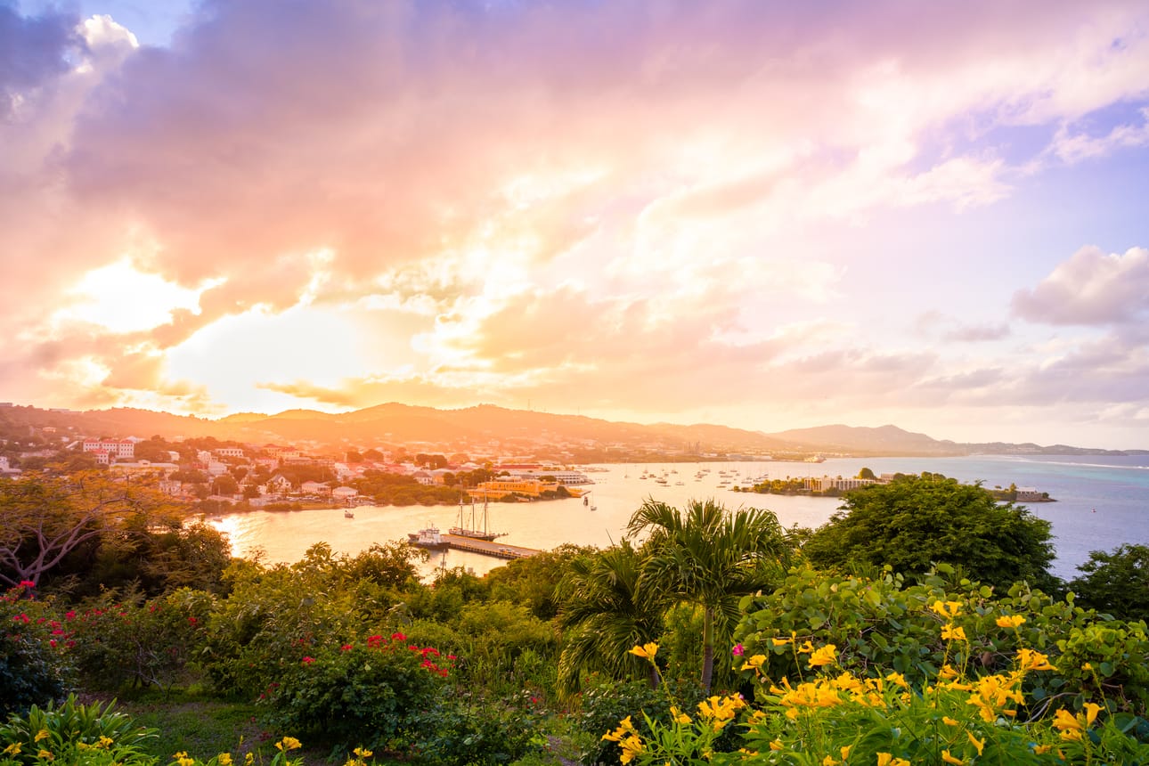 St. Croix'n saarella kasvaa paljon erilaisia kukkia ja kasveja. Marjo Aho nauttii luonnon monimuotoisuudesta.