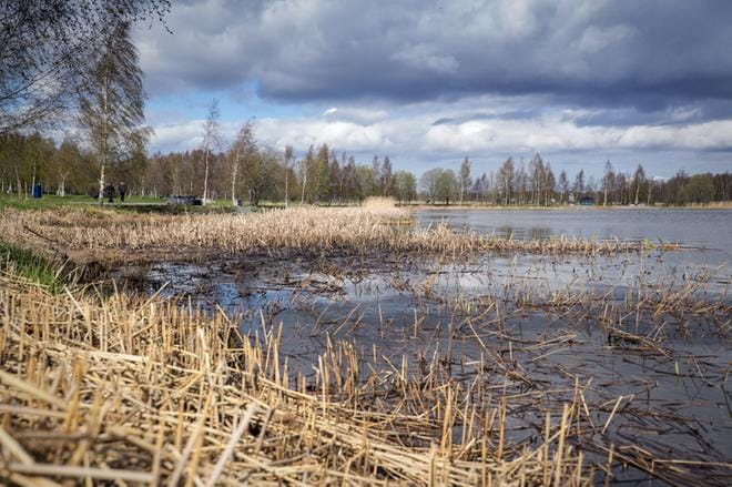 Onkilahden vesi- ja sedimenttinäytteistä ei ole enää löytynyt mitään tavanomaisesta poikkeavaa. Tavanomaista korkeampia ravinnepitoisuuksia mitattiin alkusyksystä. KUVA: PAULA KASKIMAA