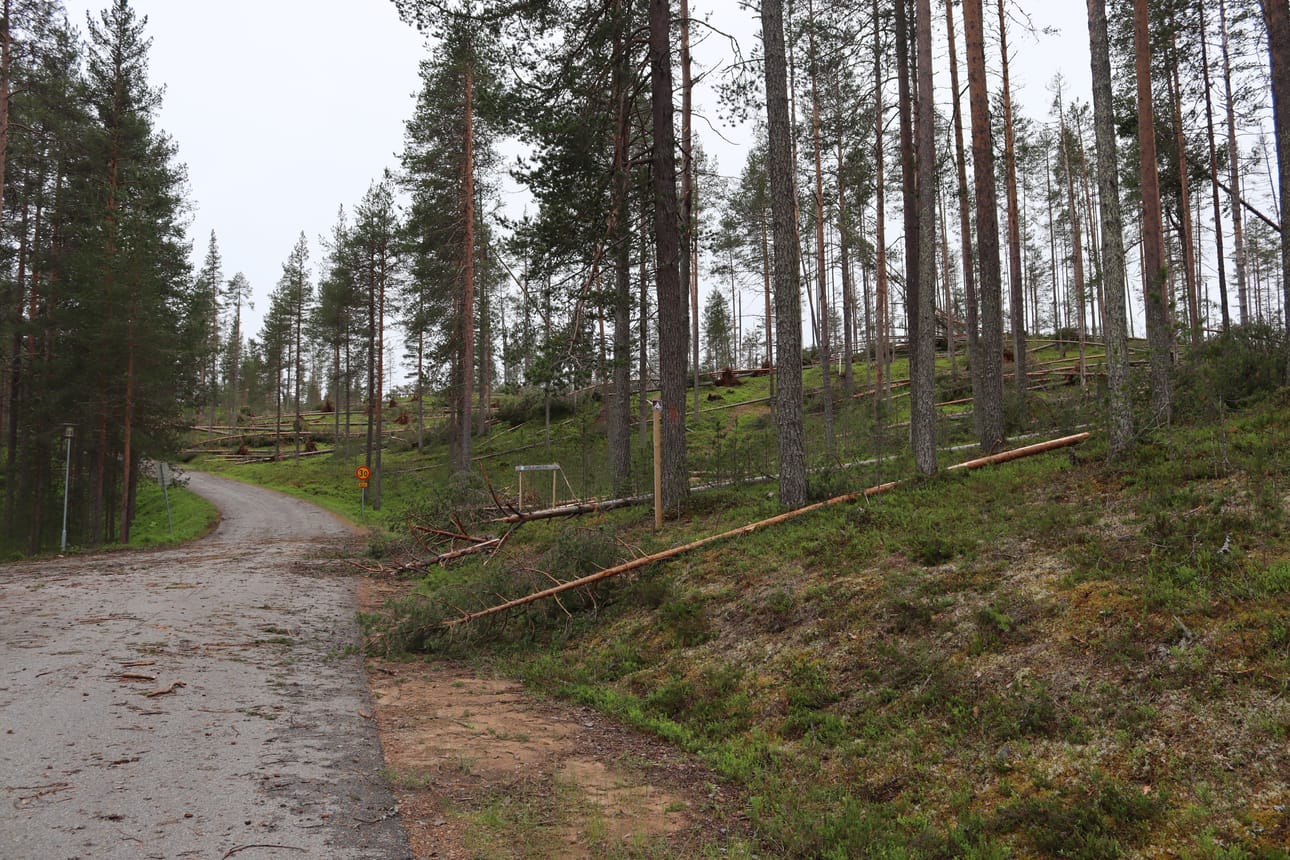 Viime kesän myrskutuhot puhuttavat. Kuvassa myrskutuhoja Kylmäluomalla myrskyn jälkeen kuvattuna