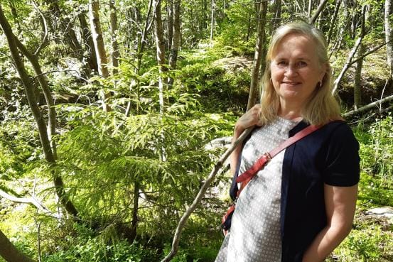 Vaasan yliopiston tutkija Hannele Kauppinen-Räisänen odottaa heräteostosten lisääntyvän verkkokaupassa. Arkistokuva: Mika Räisänen