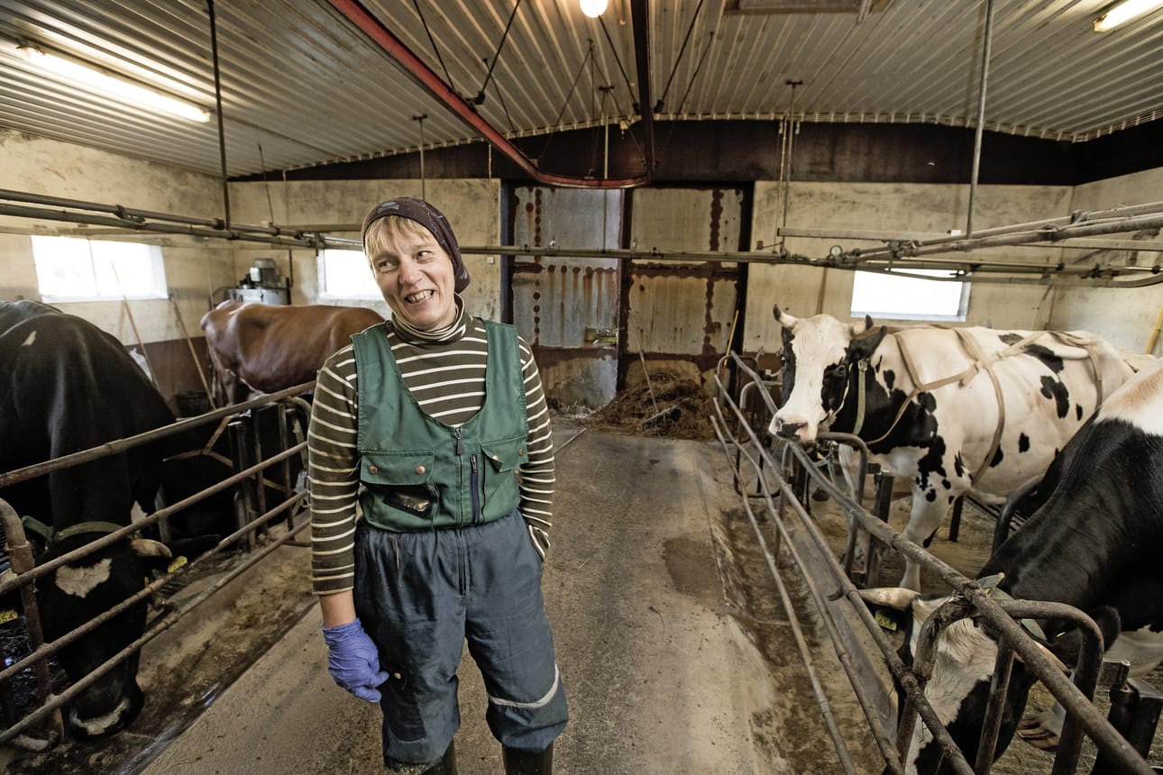 Hilkka Kestilä lainaa Eeva Heilalan runoa ja sanoo, että niin kauan jaksaa maata viljellä, kun jaksaa vasikkaa rakastaa ja heinistä kukan hämmentää.