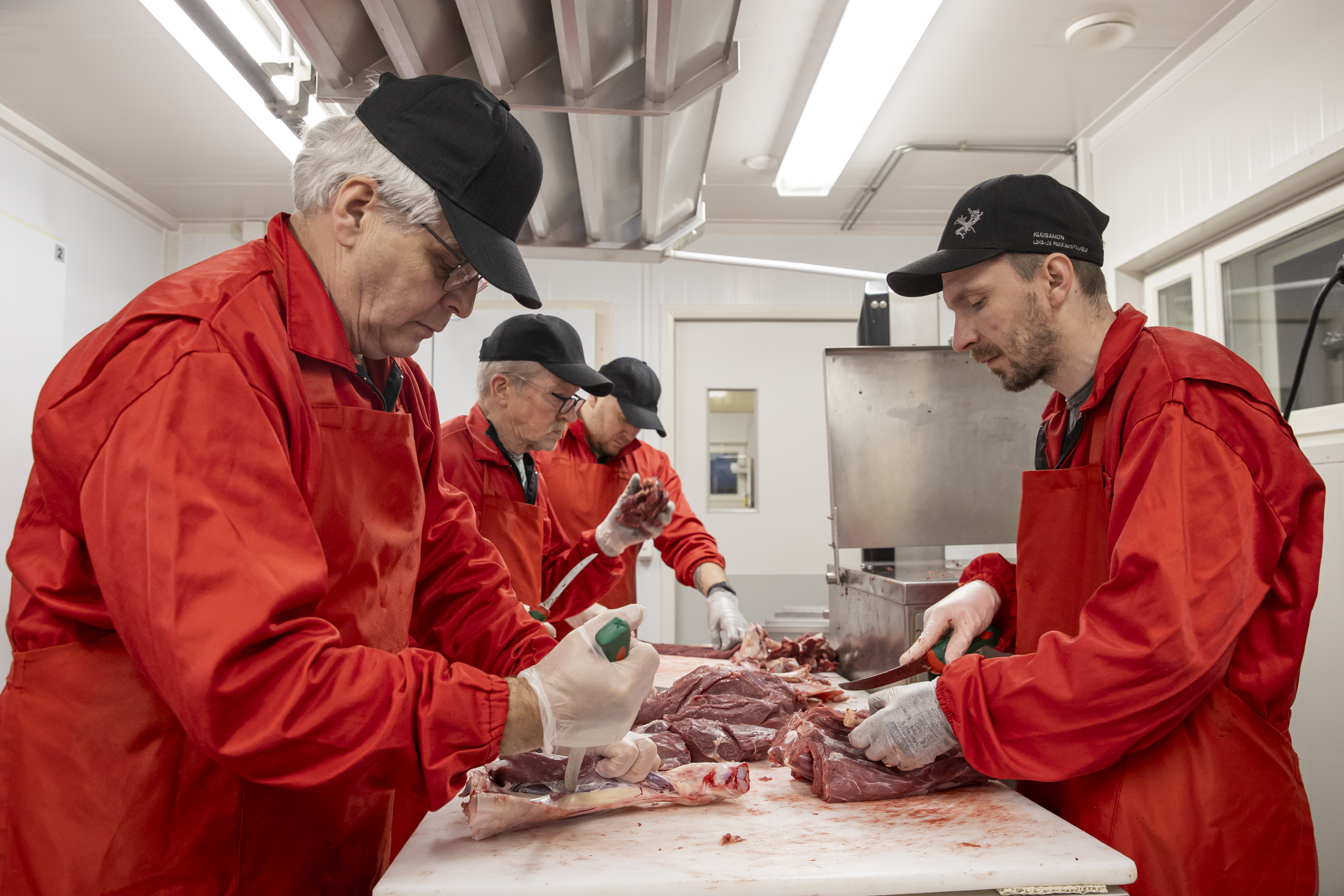 "Porosta ei mene hukkaan muuta kuin henki" – Kuusamon Liha- ja Pakkauspalvelussa on kiireinen sesonki, kaikki ruhon osat hyödynnetään