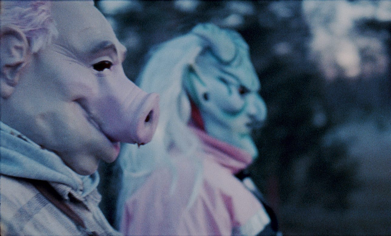 Lyhytdokumenttielokuva Maa joka nousee ja laskee nähdään DocPoint-festivaalilla. Kyseessä on Suomen suurin dokumenttielokuvaan keskittyvä elokuvafestivaali. Tänä vuonna se järjestetään verkossa.
