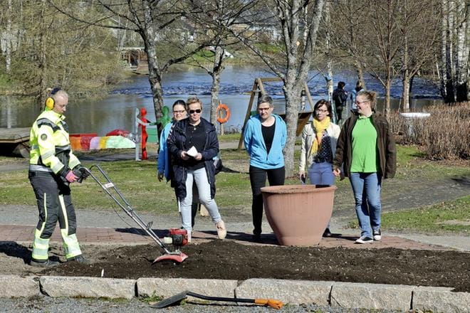 Puutarhuriksi Kurejoella opiskellut ilmajokelainen Wilhelmiina Saarijärvi myllää multaa Jokilaakson matkailupuutarhassa Lapualla. Työskentelyä katsovat Jamin ympäristöalan koulutuksen vastuuopettaja Heli Hämäläinen (vas.), Lapuan kaupunginpuutarhuri Raija Talvitie, Jamin puutarhurikoulutuksen vastuuopettaja Mari Rajamäki, koulutusalajohtaja Henna Latvala ja matkailupuutrahan kunnossapidon työnjohtaja Maria Kylmäluoma. KUVA: HEIKKI HAKANEN