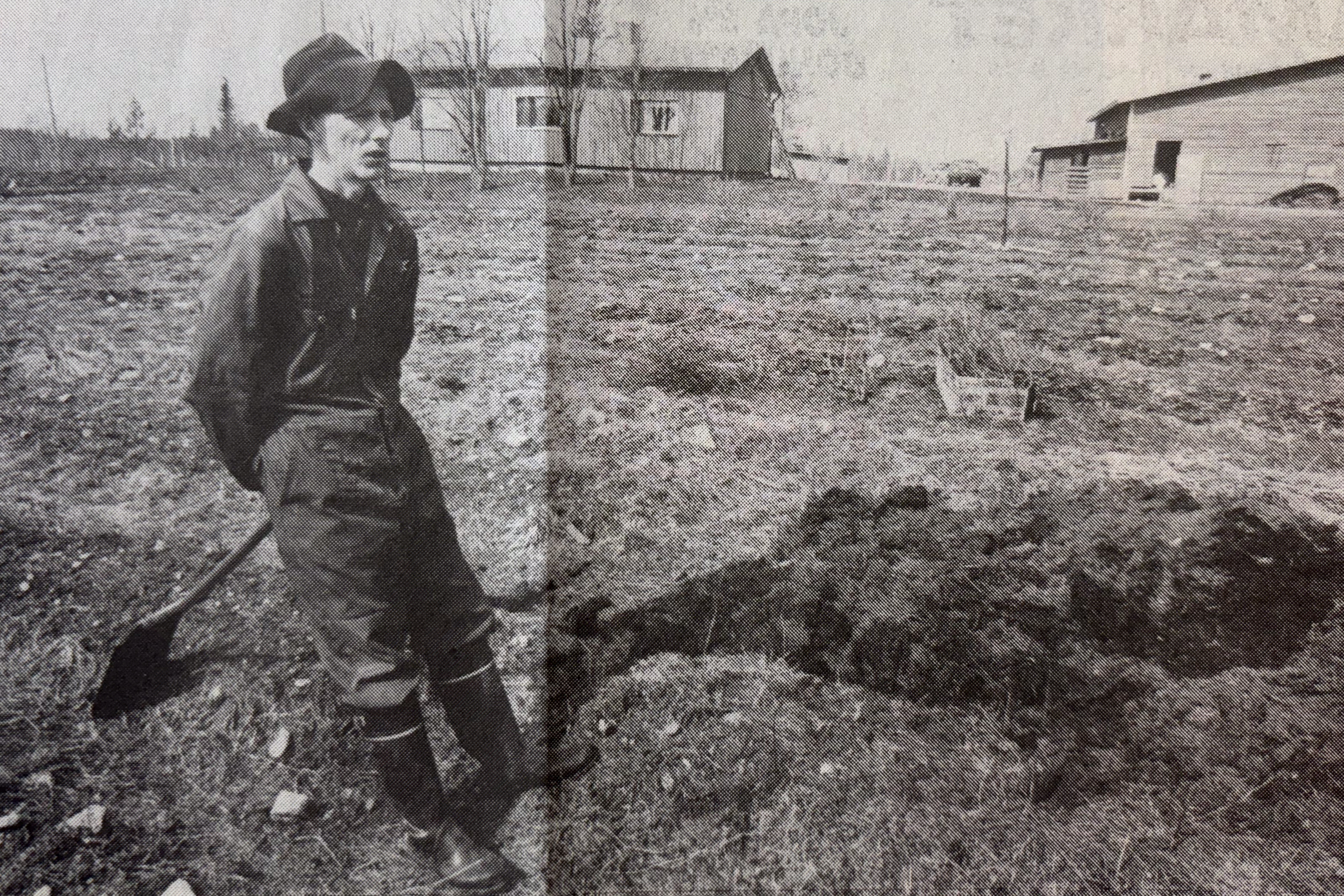 Vanha kuva: Luomuviljelijät olivat vuonna 1995 vähissä Koillismaalla – Taivalkoskella nojattiin terveeseen maahan