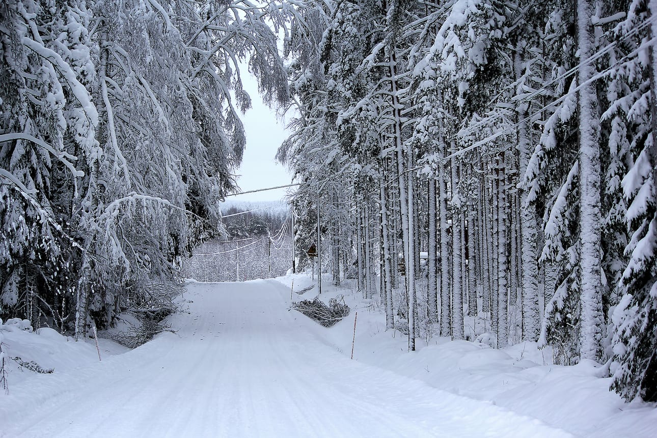 Raskas lumi voi aiheuttaa alueellisia sähkökatkoksia, jos sähkölinjoja ei ole vielä siirretty maan alle. Arkistokuva.